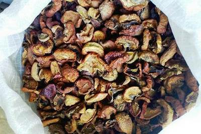 Полипропиленовые мешки для сухофруктов в Оренбурге