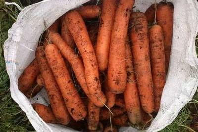 Полипропиленовые мешки и биг бэги для овощей в Оренбурге