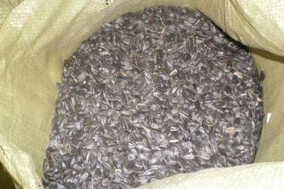 Полипропиленовые мешки и биг бэги для семечек подсолнуха в Оренбурге