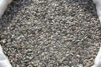 Полипропиленовые мешки и биг бэги для семян в Оренбурге